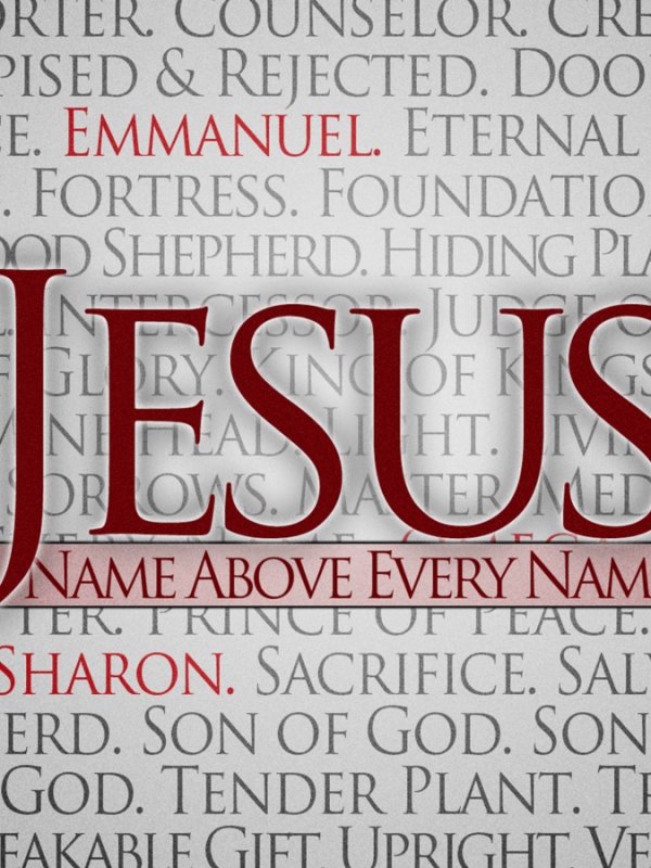 Word for year 5785 / 2025 – In My Name&nbsp;Occupy