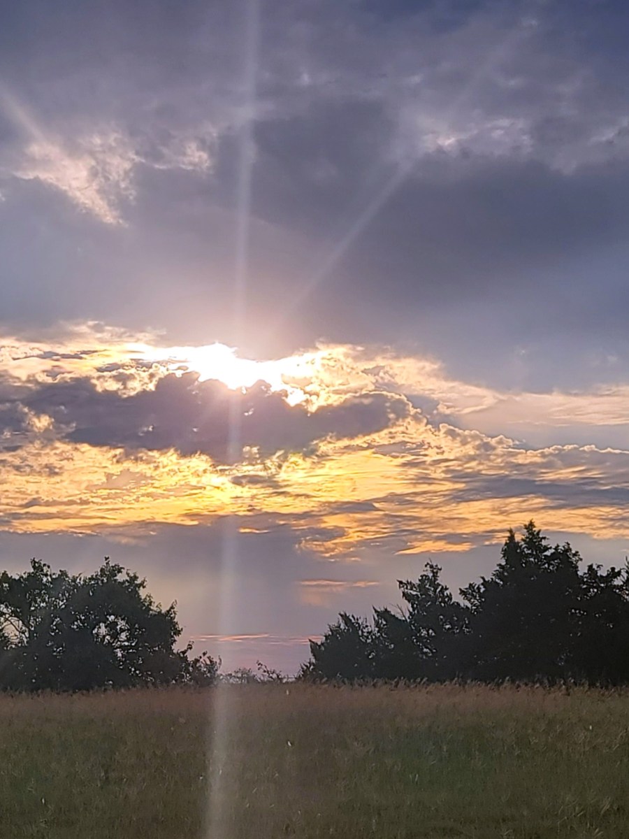 Finding Purpose in Your Wilderness&nbsp;Season