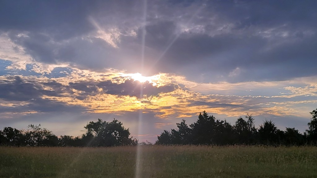 Finding Purpose in Your Wilderness&nbsp;Season